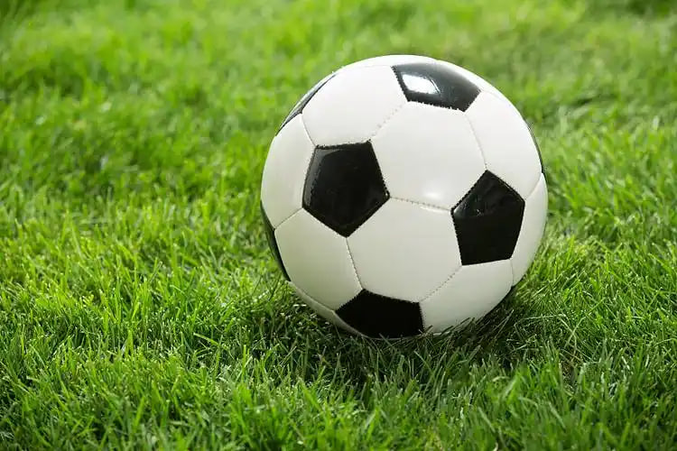 足球比分即时数据应用场景